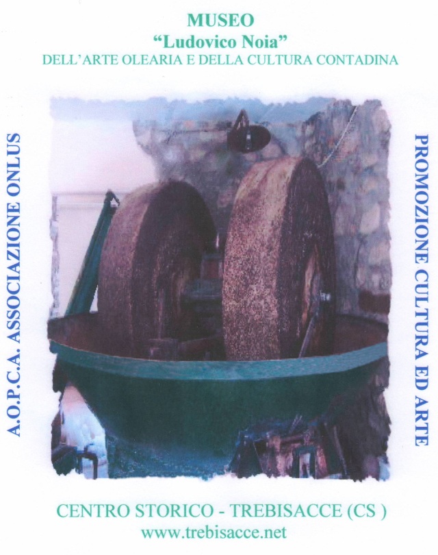 Museo Ludovico Noia