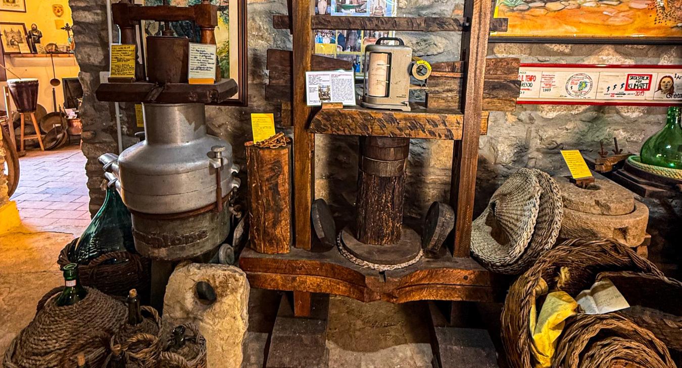 Museo Ludovico Noia